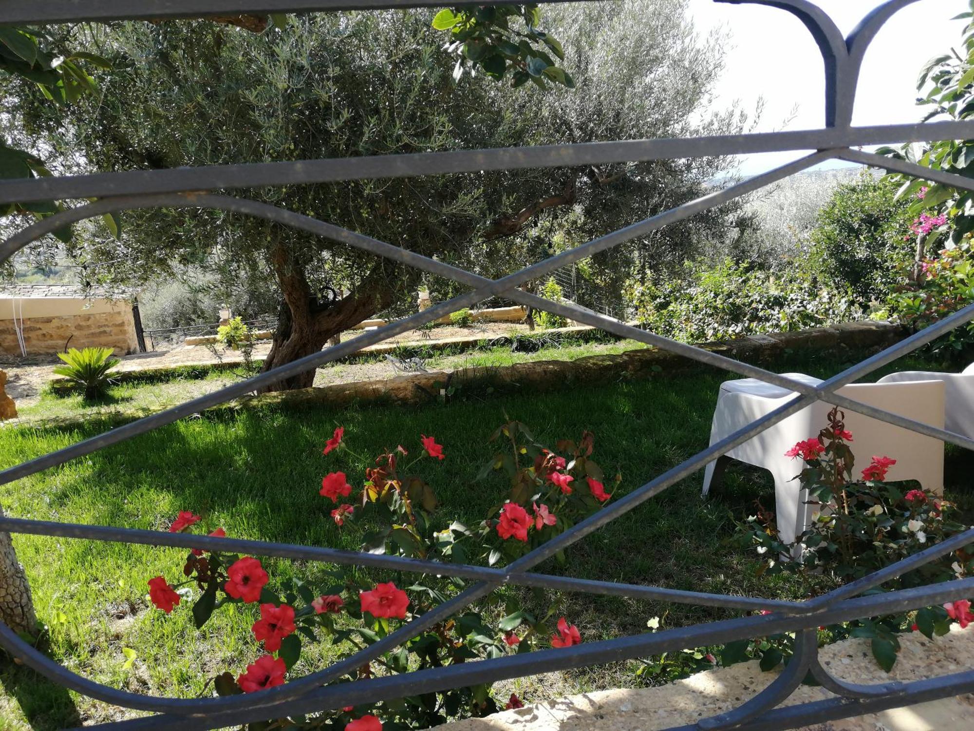 A Casa Di Mammi Nella Valle Dei Templi Агридженто Стая снимка